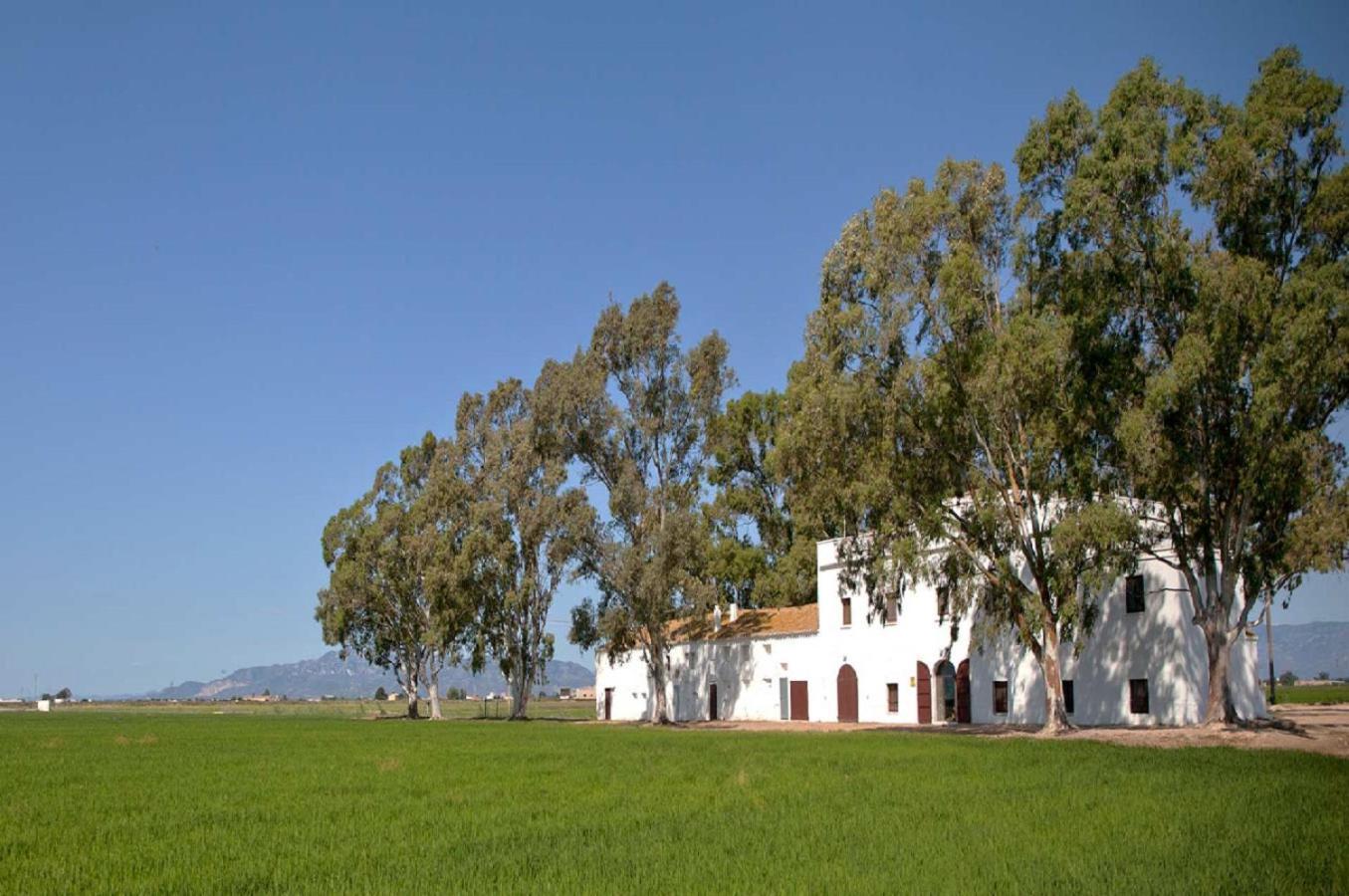 Mas Illa De Riu: Authentic Delta del Ebro Farmhouse for 20 Sant Jaume d'Enveja Exterior photo